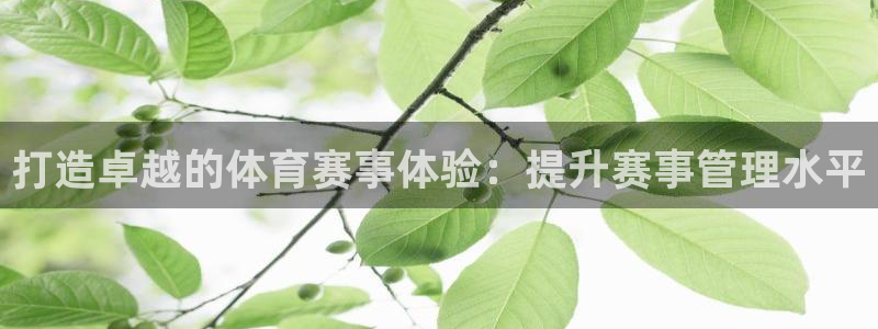 b体育必一运动网页版