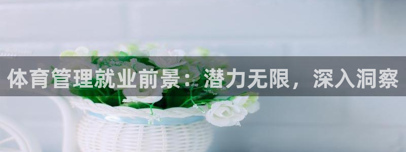 必一体育没了：体育管