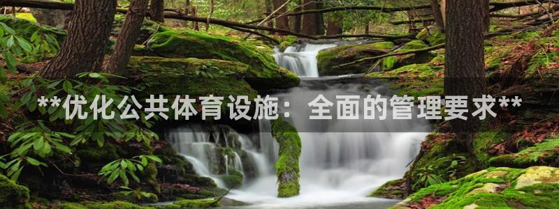 必一体育游戏玩法：*