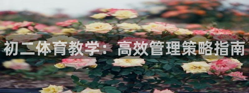 必一体育网页：初二体