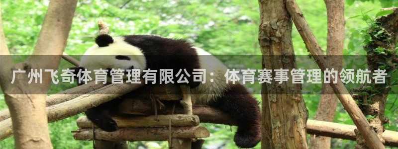 必一体育APP：广州