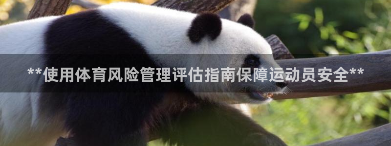 必一体育能提现大金额
