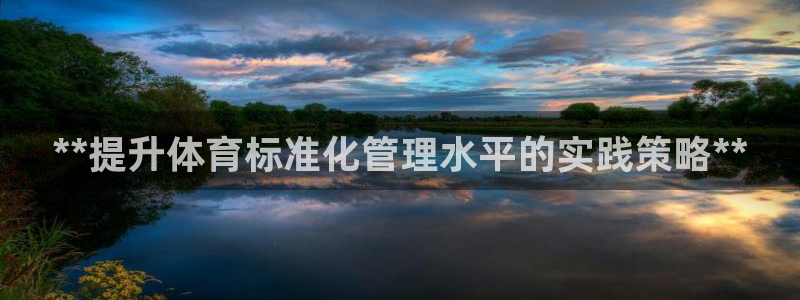 必一运动体育官网下载