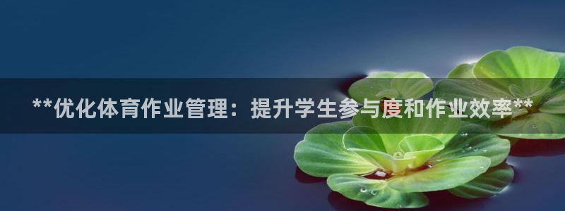 必一体育网页登录版官