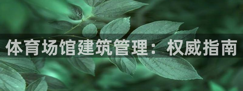 必一体育怎么下载：体