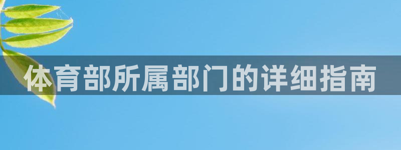 必一体育bsport