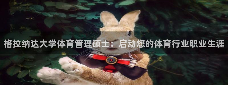 必一体育官方网站入口
