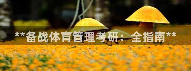 必一体育sport下