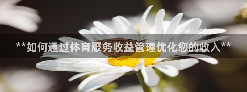 必一体育流水线是什么