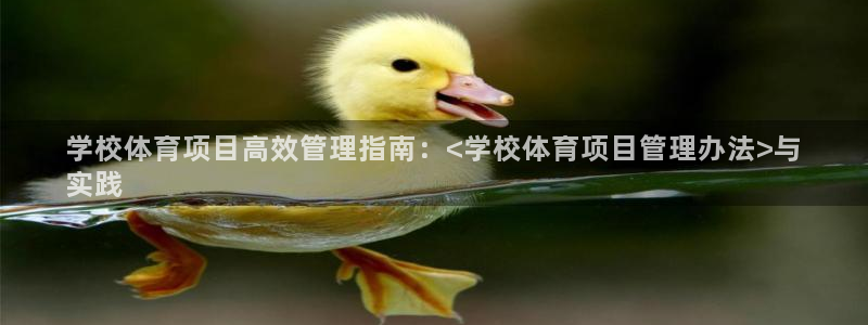 必一体育下载移动版：