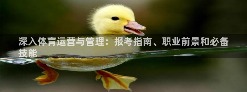 必一体育bsport