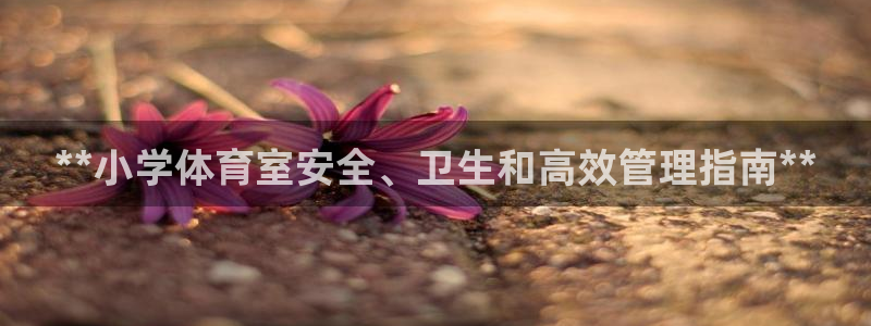 必一体育没了：**小