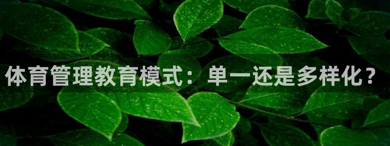 必一体育官方入口：体