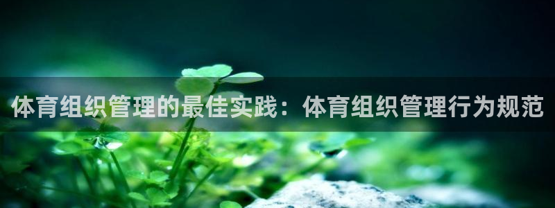 必一体育手机下载：体