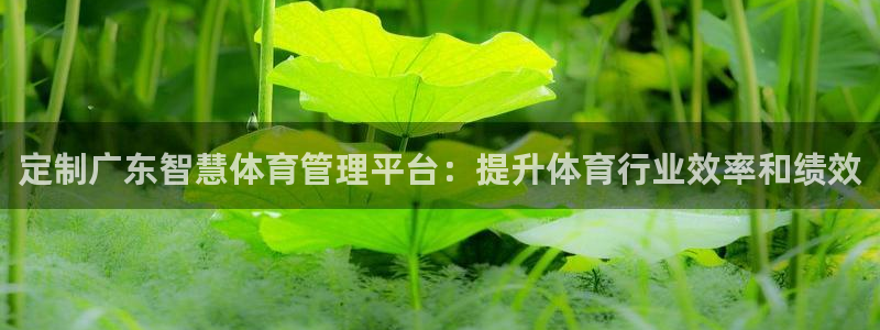 必一体育下载秀给网：
