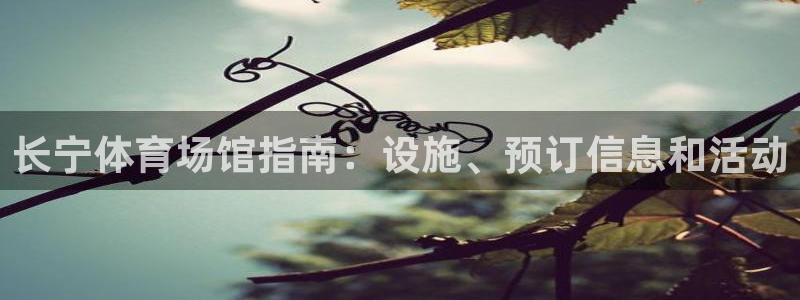 必一运动·(B-Sp