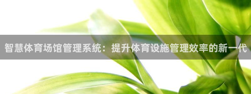 必一体育网址：智慧体