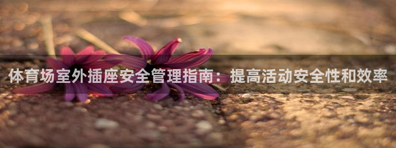 必一体育手机下载：体