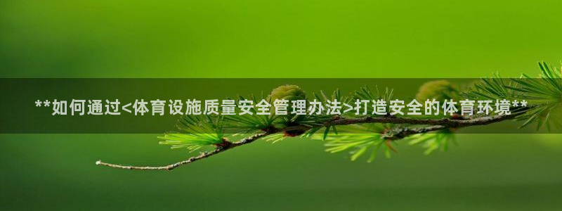 必一体育官方app下
