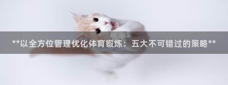 必一体育sport官