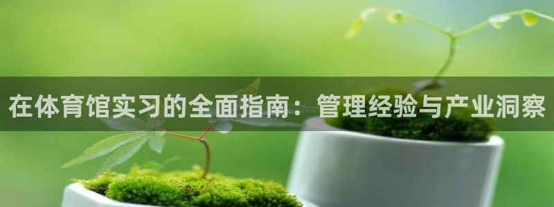 必一体育下载登入：在