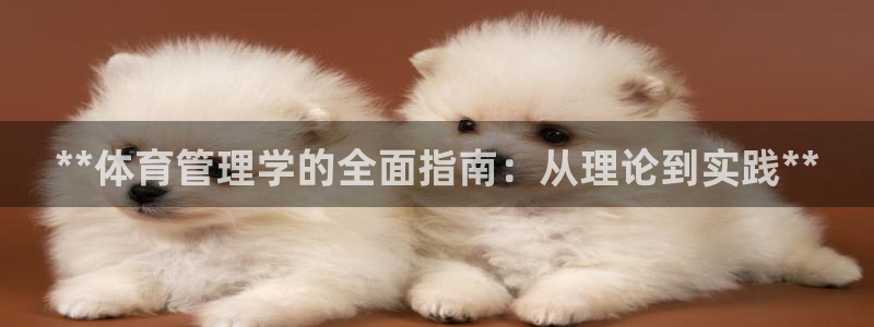 必一体育下载登入：*
