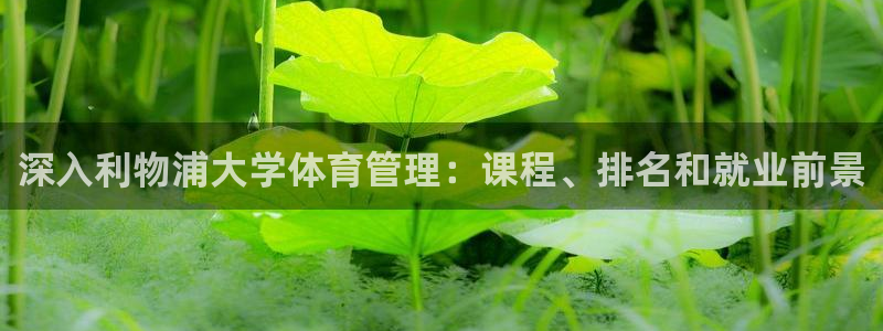 b体育必一下载：深入