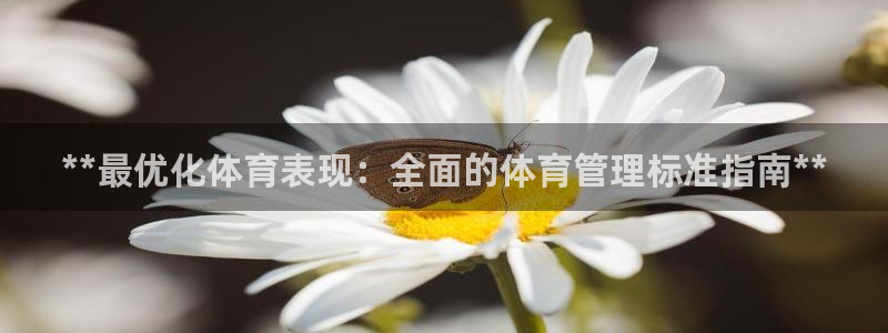 必一体育电子app：