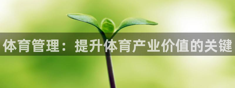 必一运动体：体育管理