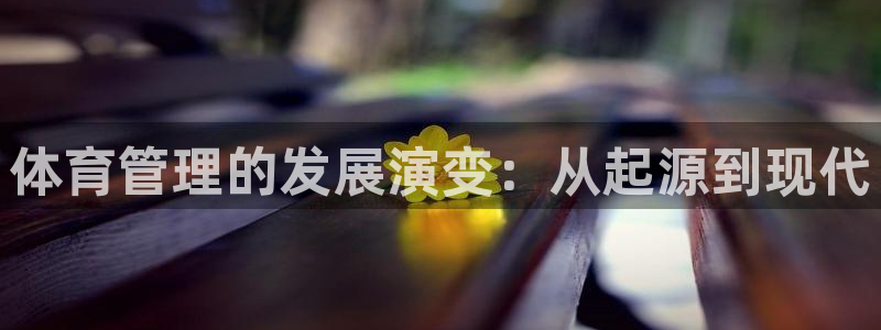 必一体育网页：体育管