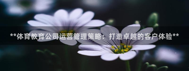 必一体育下载app：