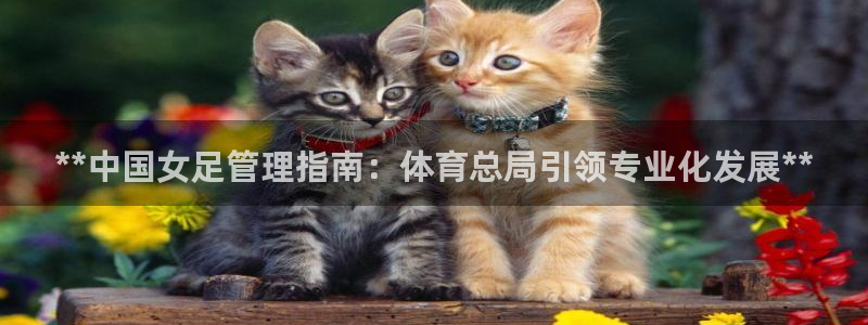 必一体育网页登录版官