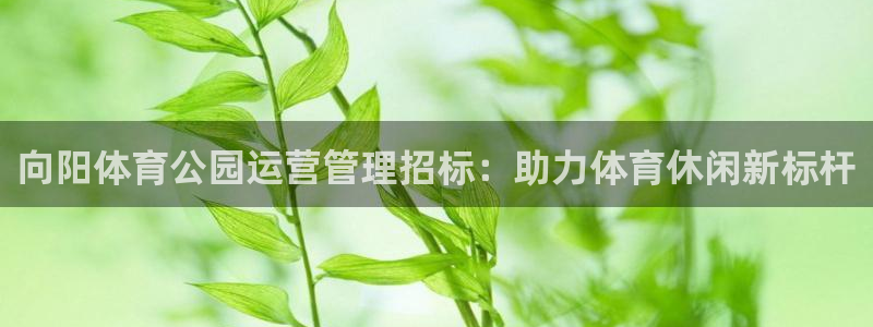 必一体育官网app：