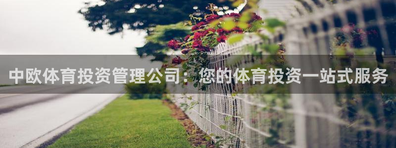 必一体育sportB