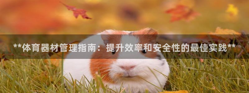 必一体育app下载：