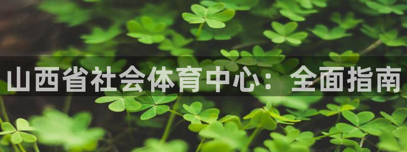必一体育app官方下