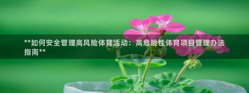 必一体育电子app：