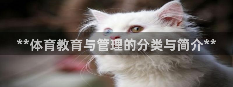 必一体育app下载装