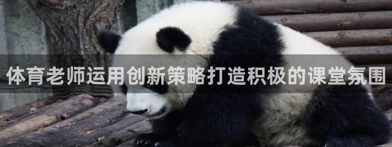必一体育全站在线登录