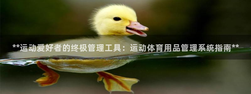 必一体育官网入口：*
