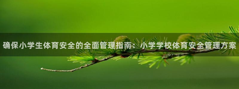 必一体育bsport下载：确保小学生体育安全的全面管理指南：