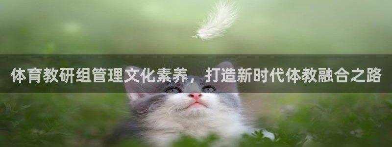 b体育必一下载：体育