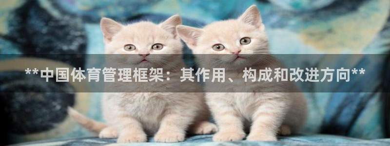 必一体育bsport