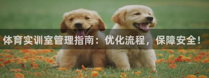 必一运动体育官网下载