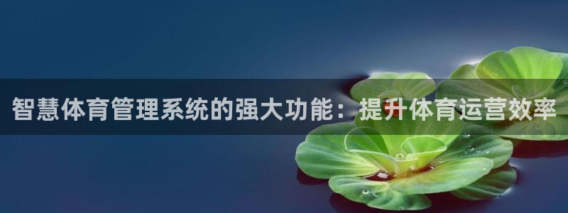必一体育app下载装