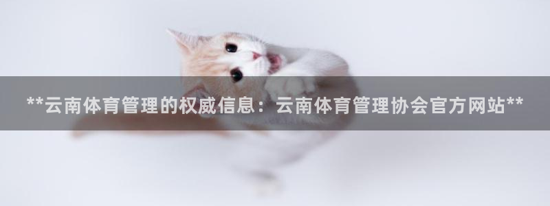 b体育官网下载入口a