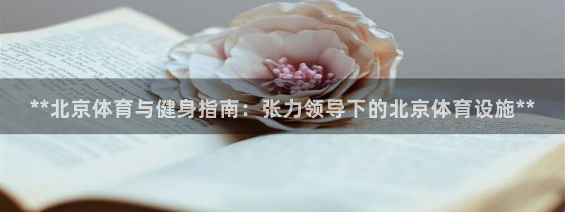 必一体育官网网址：*