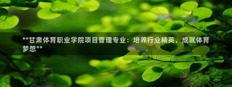 必一体育登录入口AP
