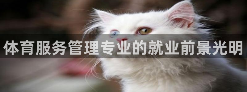 必一体育bsport