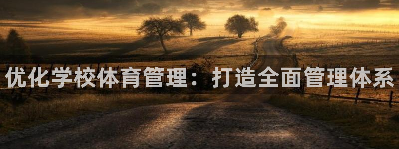 b体育必一下载：优化